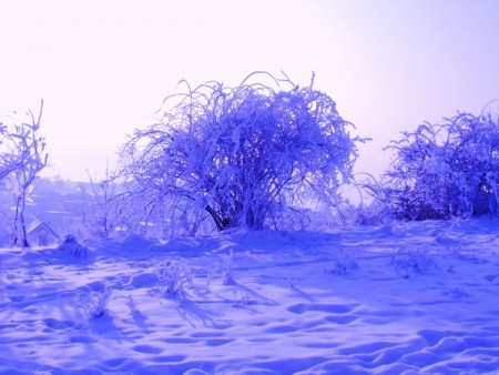V okolí kameňolomu Ježová